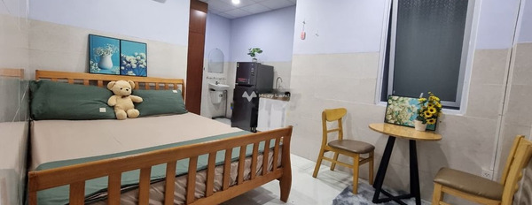 Chung cư 1 phòng ngủ, cho thuê căn hộ vị trí ngay tại Bạch Đằng, Hồ Chí Minh, trong căn hộ này bao gồm 1 PN, 1 WC vị trí trung tâm-02