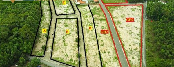Vị trí đặt vị trí ở Đường An Phước, Tỉnh Đồng Nai bán đất, giá bán mong muốn 1.3 tỷ diện tích trong khoảng 80m2-02