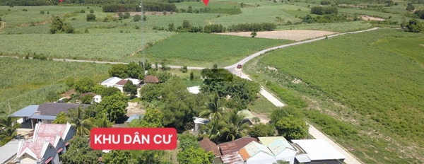 Ninh Tây, Ninh Hòa bán đất giá bán siêu tốt chỉ 1.9 tỷ diện tích chuẩn là 12000m2-03