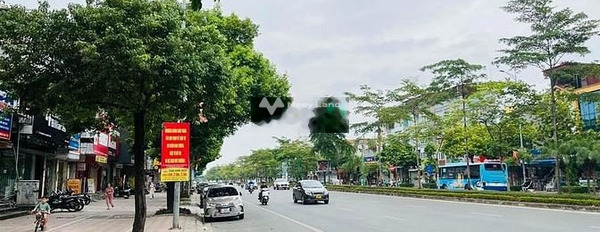 Thạch Bàn, Long Biên 18.9 tỷ bán đất toàn bộ khu vực có diện tích 73m2-03