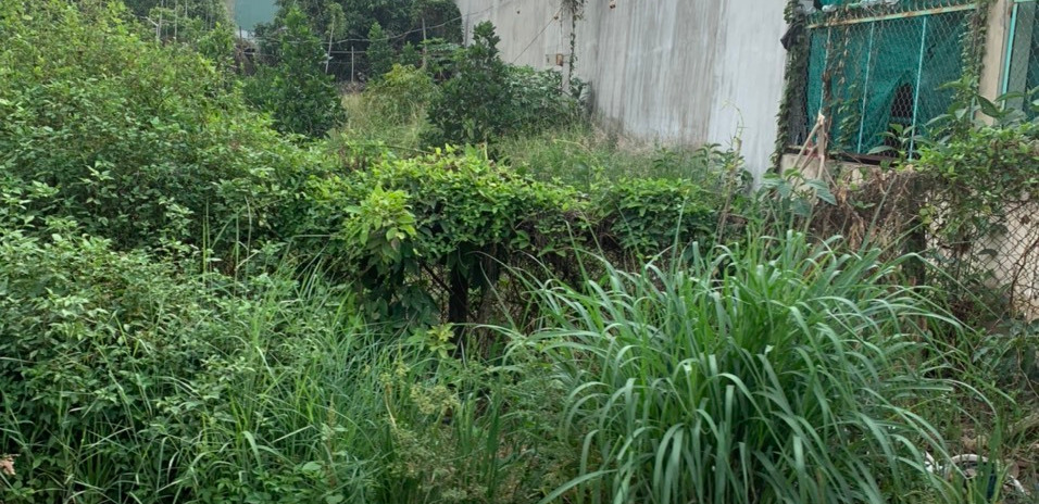 Cần bán lô đất 100m2, đất mặt tiền ở Tân Định