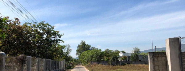 Vị trí đẹp nằm trên Xuân Lộc, Đồng Nai bán đất giá bán ưu đãi 499 triệu diện tích là 233m2-03