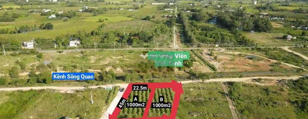 Bán đất 1.63 tỷ Hàm Thuận Bắc, Bình Thuận diện tích chung 2000m2-02