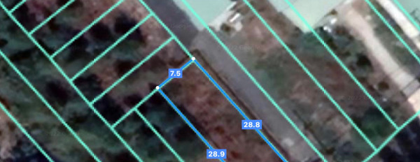Đất sổ riêng 2 mặt tiền đường chính khu công nghiệp Giang Điền-02