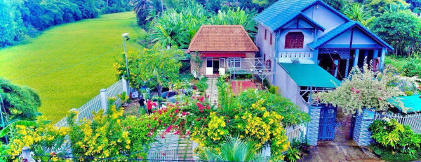 Chủ cần bán mảnh biệt thự vườn tại xã Diên An - Diên Khánh, Khu vực phát triển ngay Võ Nguyên Giáp -02