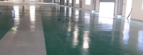 Cho thuê xưởng 5000m2. Khu công nghiệp. Đức Hoà Long An -03