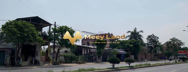 Tại Phú Lộc, Phú Lộc bán đất 800 triệu dt quy đổi 200 m2-03