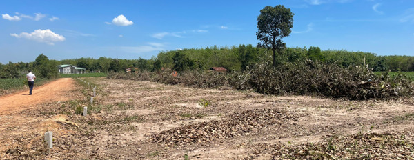 Đầu tư sinh lời khủng với lô đất tại Tây Ninh-02