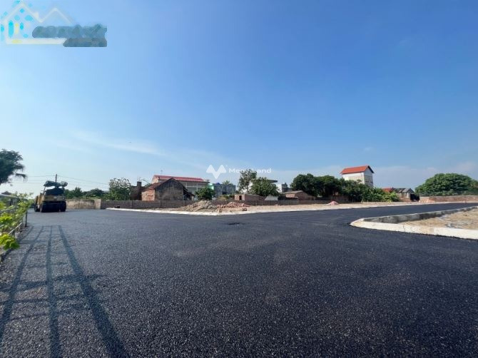 Nằm tại Quang Hưng, An Lão bán đất 550 triệu với diện tích rộng 65m2-01