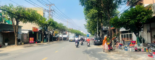 Bất động sản mặt tiền đường lớn thành phố Biên Hoà-03