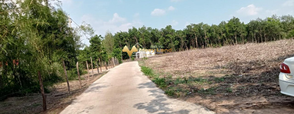 Cần tiền bán đất vị trí thuận lợi ngay ở Lộc Ninh, Bình Phước-03