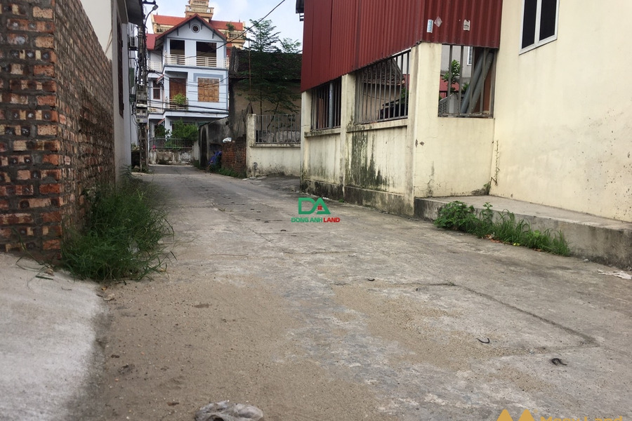 Bán lô góc 60.4m2 thôn Đông Tây, Vân Nội, đường thông ô tô đỗ cửa-01