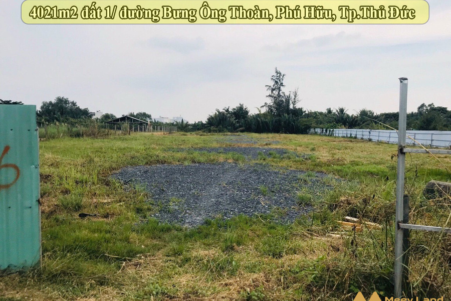4021m2 đất hẻm đường Bưng Ông Thoàn, Phú Hữu Khu Samsung Village 1,2,3,5-01