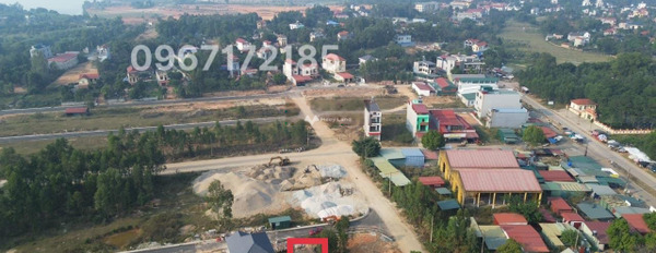 Vị trí đặt nằm trên Ngọc Thanh, Phúc Yên bán đất giá bán khởi đầu chỉ 1.65 tỷ diện tích tổng là 151m2-02
