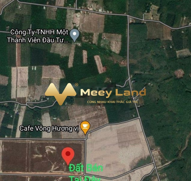 Chính chủ tôi bán mảnh đất, 220 m2 giá bán cạnh tranh 1.07 tỷ ngay Đường Nguyễn Văn Linh, Tỉnh Bình Phước tiện ích bao phê-01
