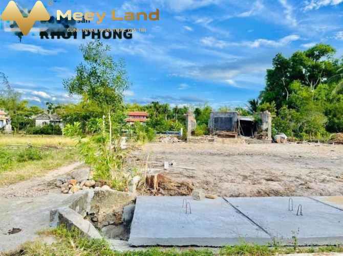Giá 590 triệu bán đất Diện tích nền 129 m2 vị trí đẹp tại Xã Vinh Hưng, Tỉnh Thừa Thiên Huế, hướng Bắc-01