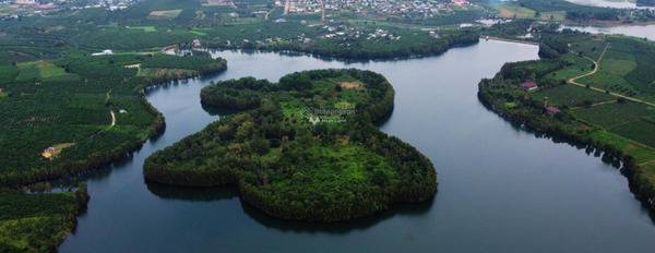 1.9 tỷ bán đất diện tích rộng rãi 470m2 mặt tiền tọa lạc ngay ở Lộc Quảng, Bảo Lâm-03