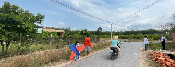 Ngay tại Gò Dầu, Tây Ninh bán đất, giá bán cực mềm chỉ 290 triệu diện tích tổng 380m2-03