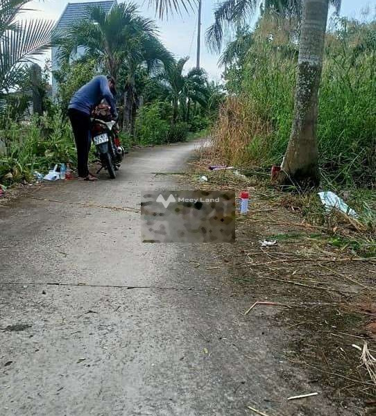 Nguyễn Văn Thanh, Tân Trụ 500 triệu bán đất diện tích mặt tiền 135m2-01