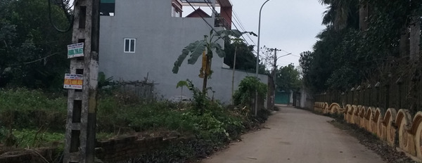 Bán đất Sơn Tây, Hà Nội, diện tích 80m2-02