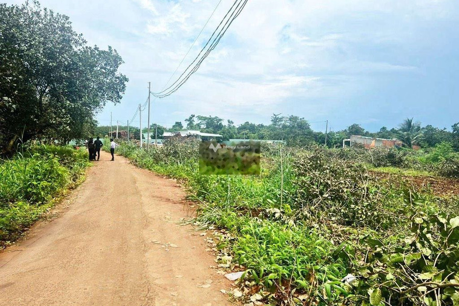 Phước Vĩnh, Phú Giáo bán đất giá cơ bản chỉ 245 triệu diện tích trong khoảng 220m2-01