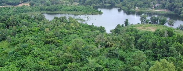 Đất xây biệt thự nhà vườn view hồ Suối Rao, Châu Đức, Bà Rịa - Vũng Tàu, giá 1,1 tỷ, diện tích 500m2-02