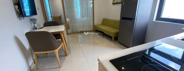 Cho thuê căn hộ, vị trí đặt ở Nguyễn Thị Minh Khai, Hải Châu thuê ngay với giá hiện tại 6.2 triệu/tháng có diện tích khoảng 35m2-03