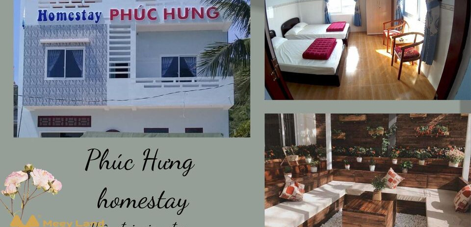 Phúc Hưng homestay, homestay giá rẻ nổi tiếng tại Bình Định