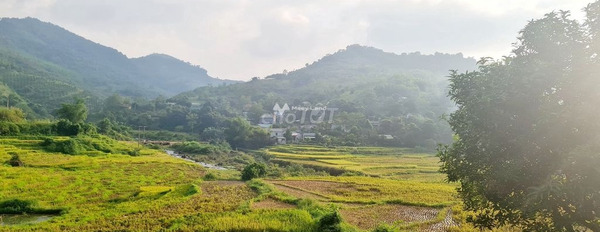 Giá sang tên chỉ 13.6 tỷ, Bán đất diện tích rộng lớn 1237m2 vị trí đẹp tọa lạc ngay tại Hợp Phong, Cao Phong vị trí siêu đẹp-02