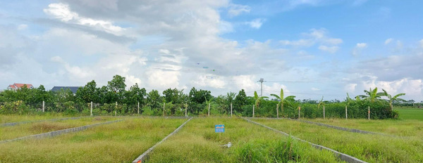 Cần ra đi gấp bán mảnh đất, 125m2 giá bán mua liền chỉ 1.88 tỷ vị trí đẹp tại Minh Tân, Phú Xuyên, hướng Nam hỗ trợ mọi thủ tục miễn phí-03