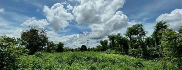 Giá bàn giao 1.05 tỷ bán đất có diện tích 1700m2 vị trí đẹp nằm ở Hòa Thuận, Đắk Lắk, hướng Đông-02