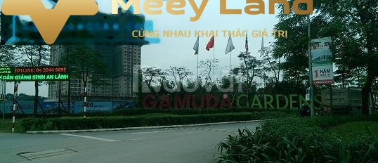 Bán đất Hoàng Mai, Hà Nội, diện tích 209m2-03