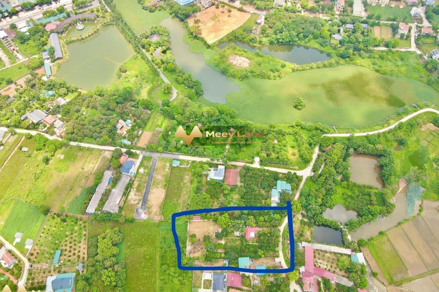 Xã Phú Cát, Huyện Quốc Oai 35 tỷ bán đất, hướng Đông Bắc tổng diện tích là 4200m2-01