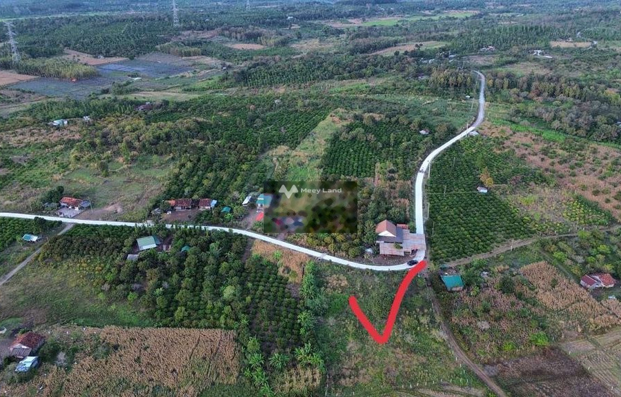 Vị trí mặt tiền tọa lạc ngay Cư M'gar, Đắk Lắk bán đất, giá hợp lý từ 500 triệu với diện tích 3313m2-01