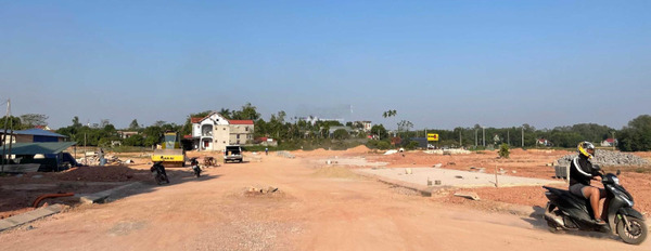 Từ 1.13 tỷ bán đất tổng diện tích 125m2 vị trí mặt tiền ngay ở Phú Bình, Thái Nguyên-02