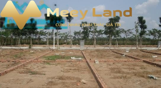 Ngay Tân Long, Hồ Chí Minh bán đất 950 triệu có dt thực là 100m2