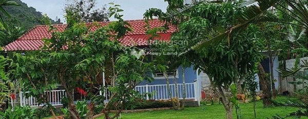Bán nhà vườn đẹp tại Vĩnh Thành, Nha Trang, DT 1007m2 đẹp như tranh - Giá bán: 5,85 tỷ -03
