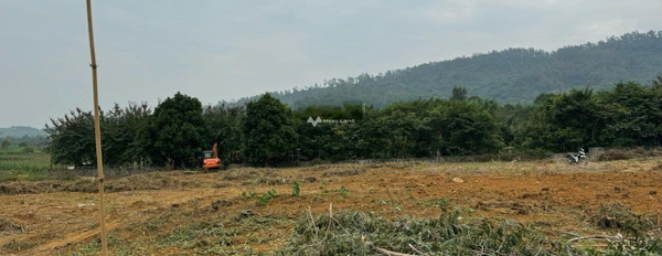 Bán đất tại Vân Hòa, Ba Vì. Diện tích 4750m2-02