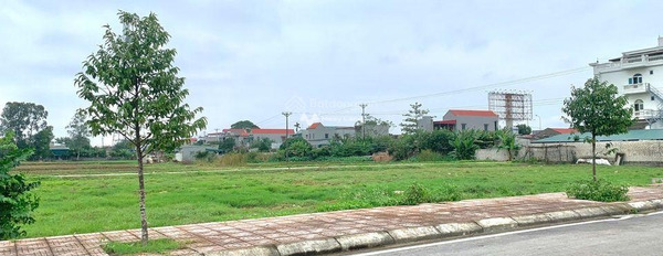 Bán đất tại Quốc Lộ 1A, Thanh Hóa. Diện tích 160m2-03