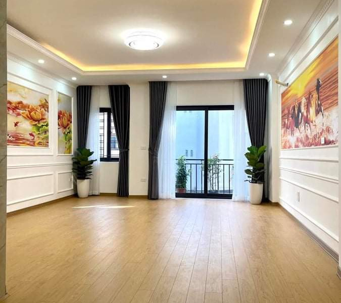 Mặt phố hot, gara ô tô, khu vip, nhà xây chắc đẹp, kinh doanh sầm uất, 52m², chào 12,3 tỷ-01