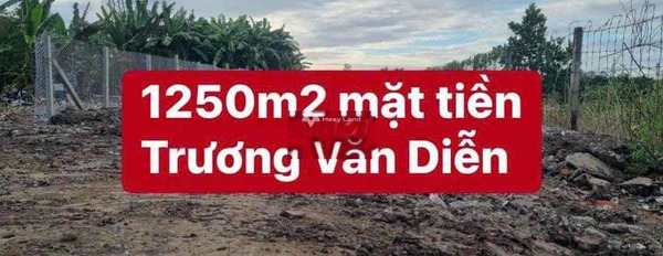 Thới Long, Ô Môn 7.9 tỷ bán đất diện tích sàn là 1250m2-02