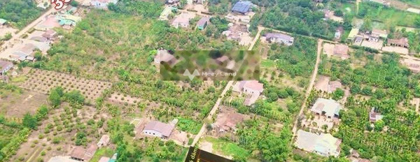 Tam Giang, Đắk Lắk bán đất giá chỉ từ 120 triệu có diện tích chuẩn 160m2-02