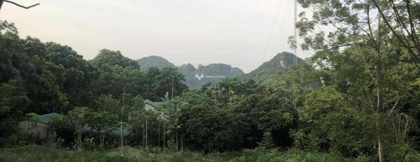 Nằm tại Lương Sơn, Hòa Bình bán đất 5.5 tỷ diện tích khoảng 3055m2-03
