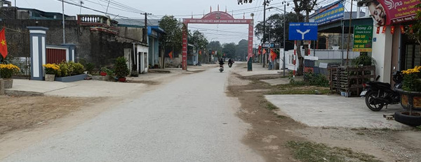 Cần bán đất thành phố Sầm Sơn, Thanh Hóa, giá 11 triệu-03