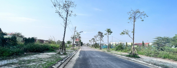 Vị trí nằm ngay Phạm Văn Đồng, Quảng Ngãi bán đất giá bán giao lưu 2.05 tỷ có diện tích thực 250m2-03