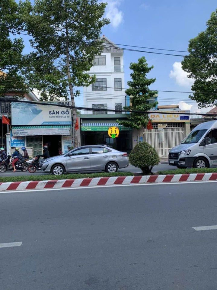 Bán nhà riêng thành phố Thủ Dầu Một tỉnh Bình Dương giá 8.0 tỷ-2