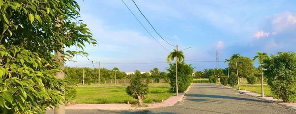 Bán đất tại khu công nghiệp Tân Hương, Tiền Giang. Diện tích 100m2, giá 250 triệu-03