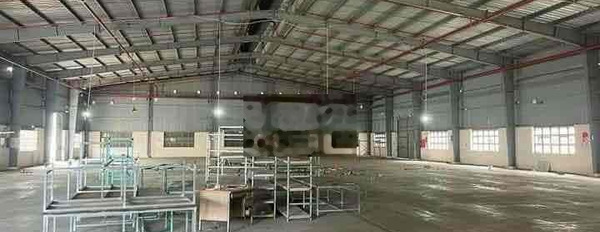 cho thuê nhà xưởng 30.000m2 ngay bến cát bình dương -03