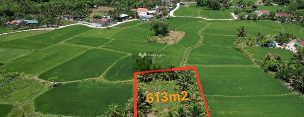Giá bán siêu mềm chỉ 1.5 tỷ bán đất diện tích rộng lớn 7999m2 vị trí nằm ngay ở Ninh Phú, Khánh Hòa-02
