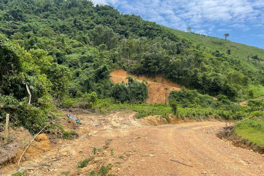 Bán đất có diện tích quy ước 40000m2 vị trí đặt ở trung tâm Lương Sơn, Hòa Bình-01